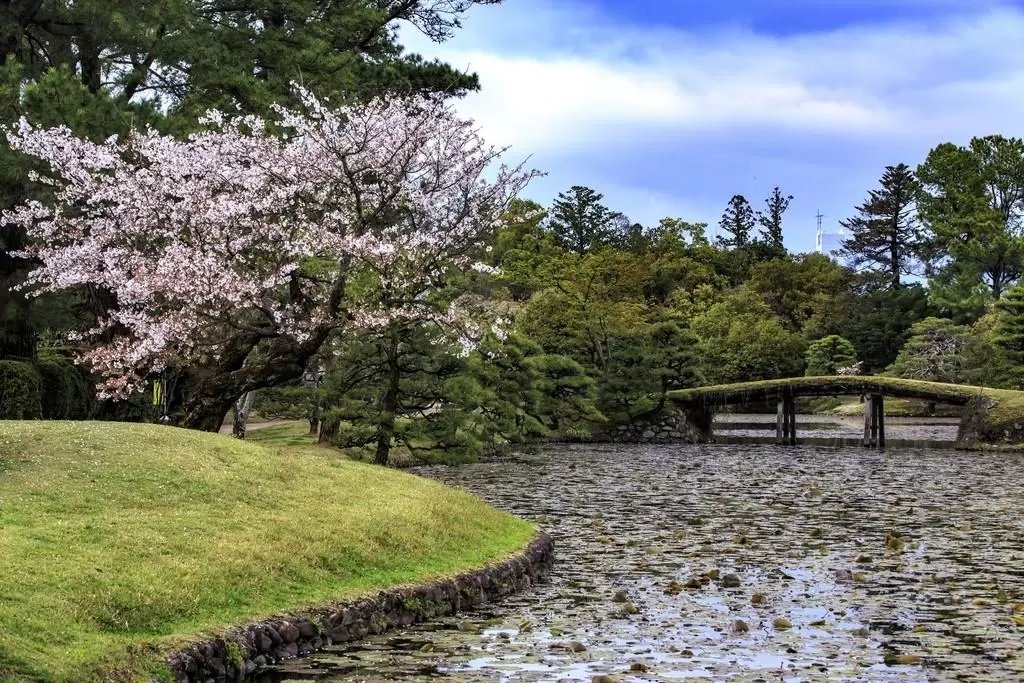 🌳 슈라쿠엔 공원(슈라쿠엔 코엔) 이미지 4